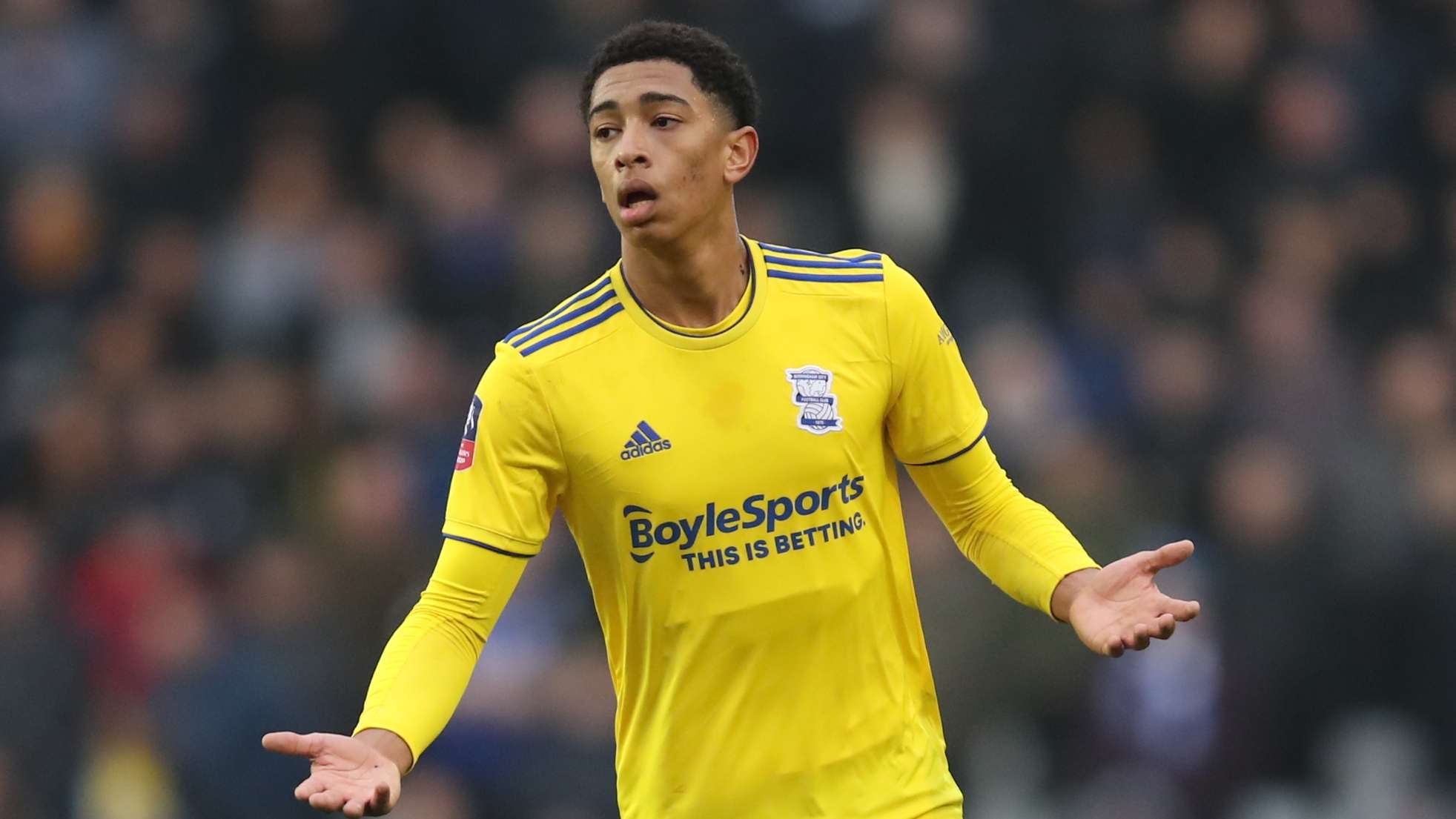 年轻球员的 年轻球员的